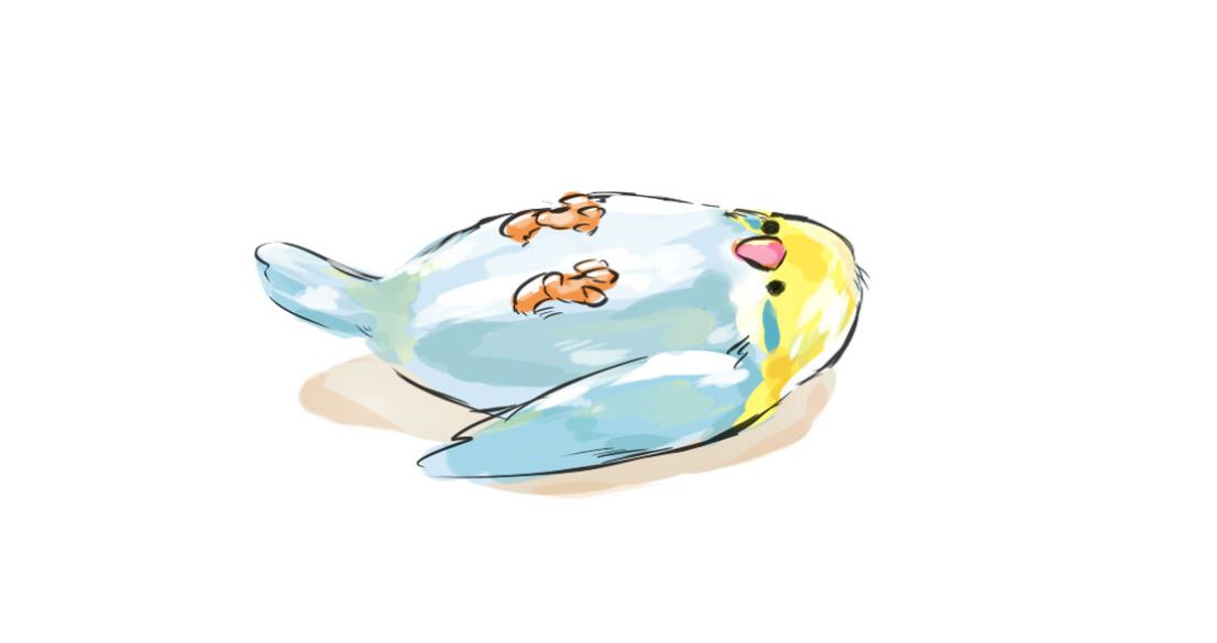 セネト Collection - uncen